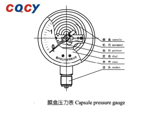 ExdIIBT4 YTH-100 Pressure Instrument